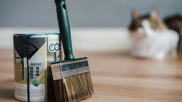 Lata de pintura abierta y brocha sobre un suelo de madera, con un gato desenfocado al fondo